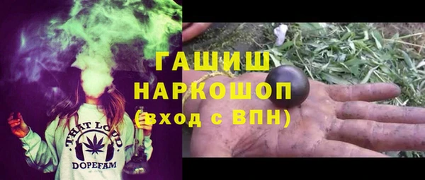 соль ск Сосновоборск