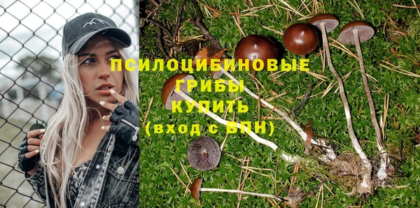 винт Балабаново